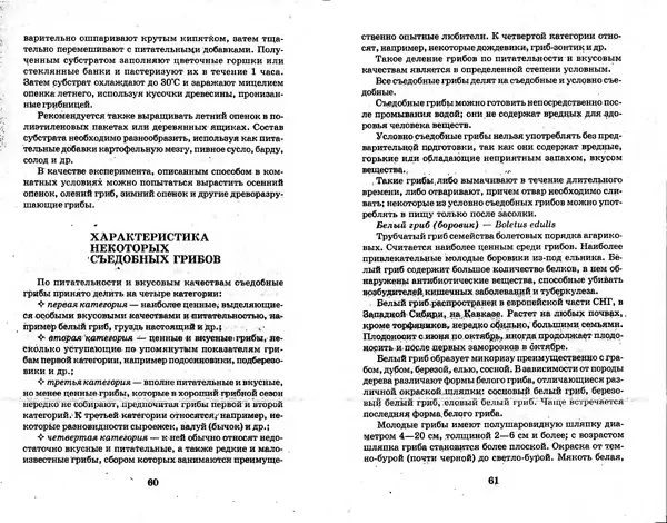 О. Щеголев - Выращивание грибов в домашних условиях - Страница № 31 О. Щеголев - Выращивание грибов в домашних условиях - Страница № 31