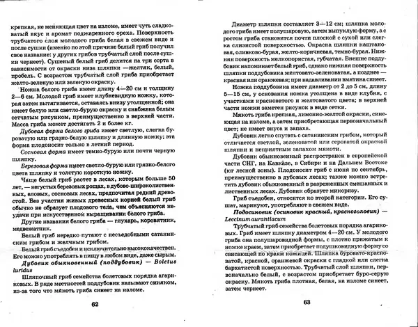 О. Щеголев - Выращивание грибов в домашних условиях - Страница № 32 О. Щеголев - Выращивание грибов в домашних условиях - Страница № 32