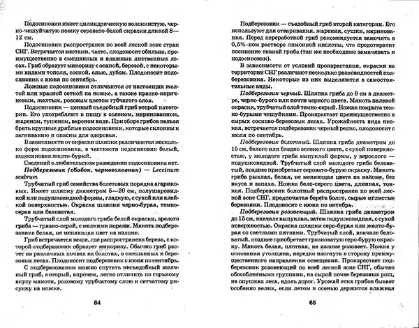 О. Щеголев - Выращивание грибов в домашних условиях - Страница № 33 О. Щеголев - Выращивание грибов в домашних условиях - Страница № 33