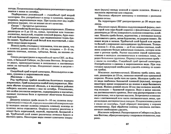О. Щеголев - Выращивание грибов в домашних условиях - Страница № 34 О. Щеголев - Выращивание грибов в домашних условиях - Страница № 34