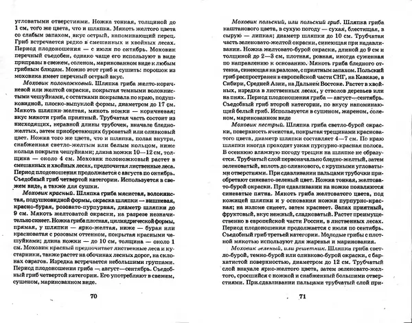 О. Щеголев - Выращивание грибов в домашних условиях - Страница № 36 О. Щеголев - Выращивание грибов в домашних условиях - Страница № 36