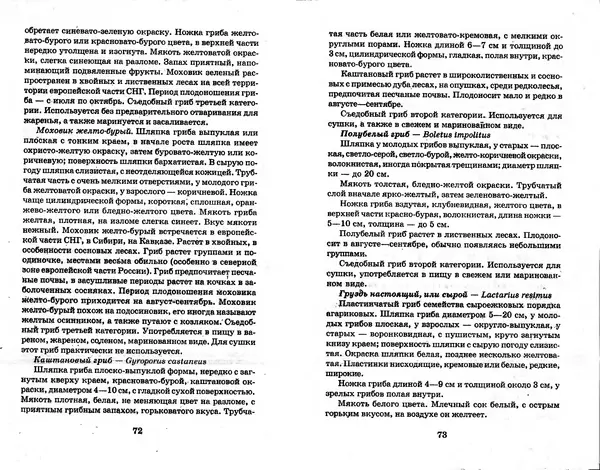 О. Щеголев - Выращивание грибов в домашних условиях - Страница № 37 О. Щеголев - Выращивание грибов в домашних условиях - Страница № 37