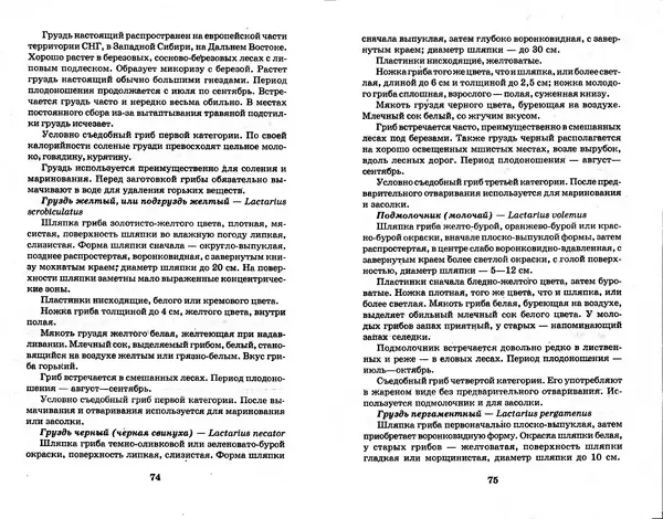 О. Щеголев - Выращивание грибов в домашних условиях - Страница № 38 О. Щеголев - Выращивание грибов в домашних условиях - Страница № 38