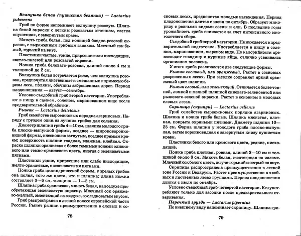 О. Щеголев - Выращивание грибов в домашних условиях - Страница № 40 О. Щеголев - Выращивание грибов в домашних условиях - Страница № 40