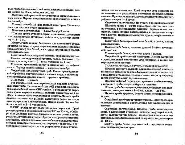 О. Щеголев - Выращивание грибов в домашних условиях - Страница № 43 О. Щеголев - Выращивание грибов в домашних условиях - Страница № 43