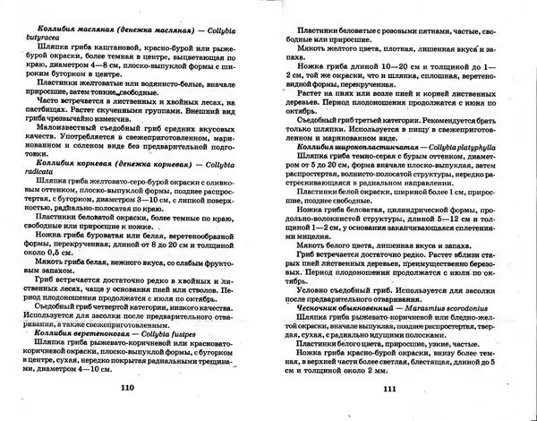 О. Щеголев - Выращивание грибов в домашних условиях - Страница № 56 О. Щеголев - Выращивание грибов в домашних условиях - Страница № 56