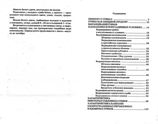О. Щеголев - Выращивание грибов в домашних условиях - Страница № 64 О. Щеголев - Выращивание грибов в домашних условиях - Страница № 64
