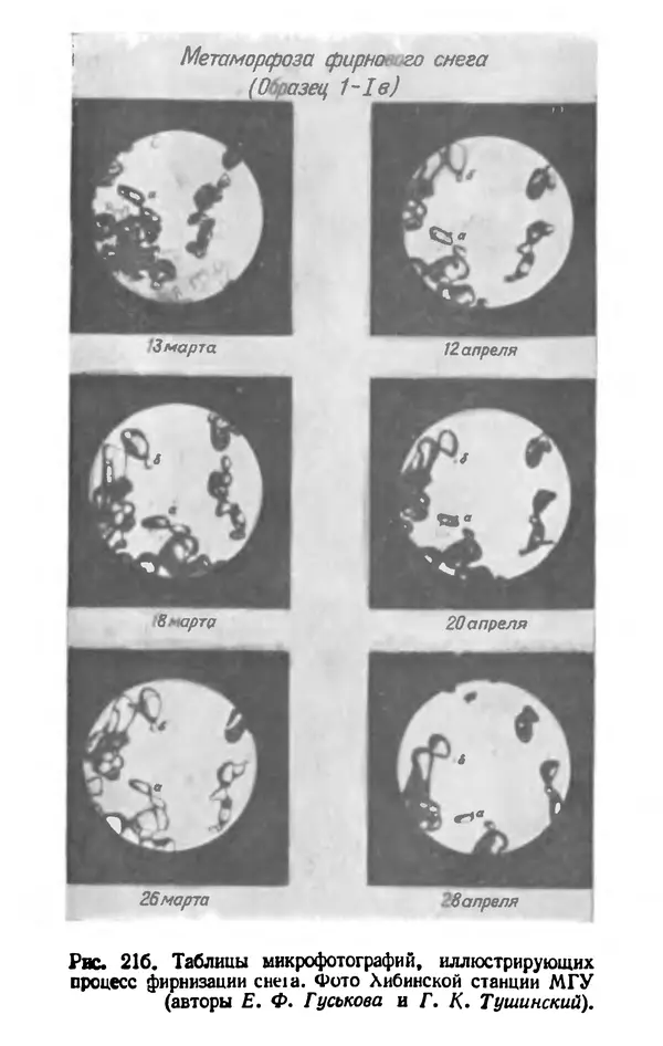 А. Малеинов - Путешествие в горах - Страница № 338 А. Малеинов - Путешествие в горах - Страница № 338