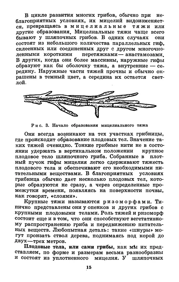 Н. Смирнов - Грибы сибирского леса - Страница № 16