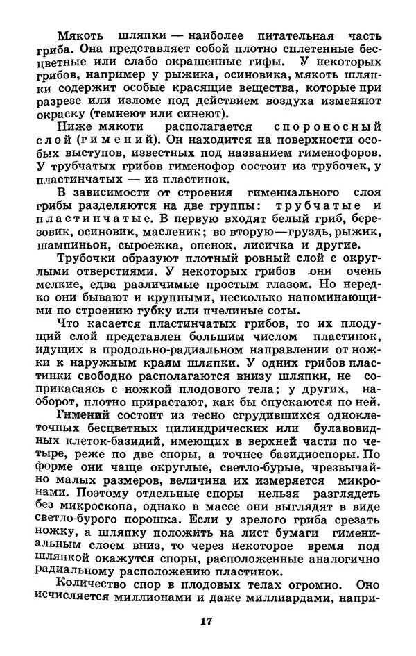 Н. Смирнов - Грибы сибирского леса - Страница № 18