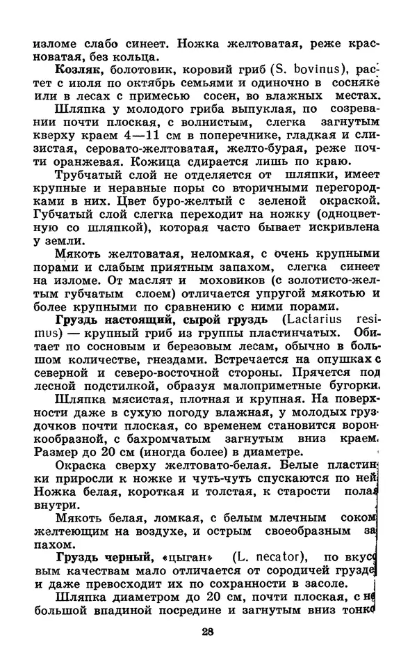 Н. Смирнов - Грибы сибирского леса - Страница № 29