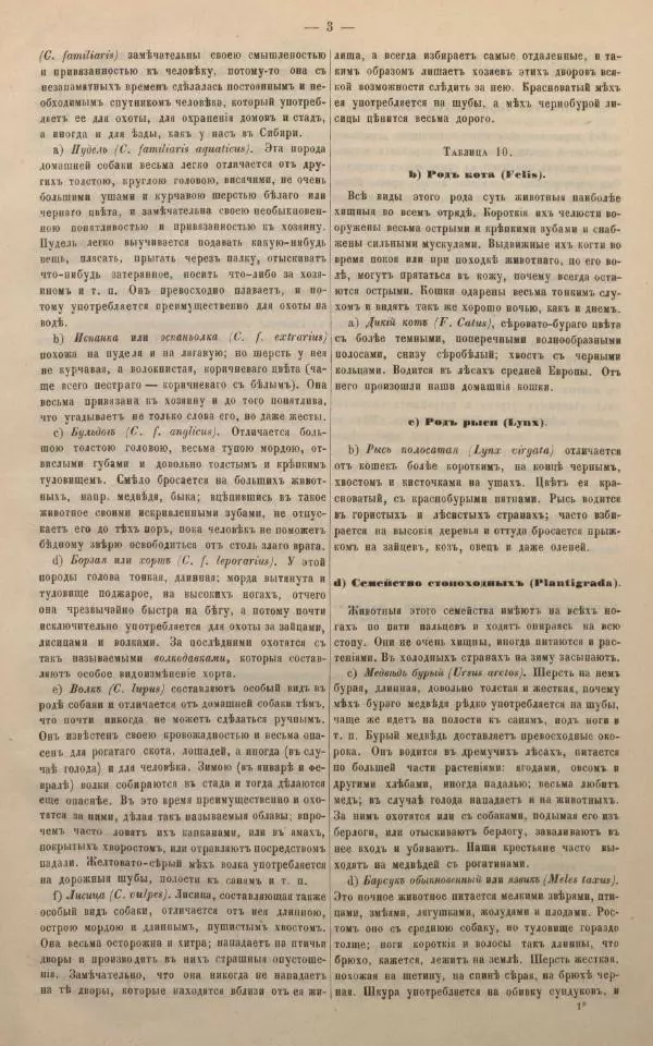 М. Яблонский - Миръ въ картинахъ - Страница № 13