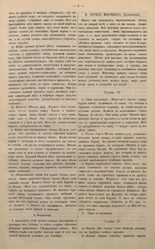 М. Яблонский - Миръ въ картинахъ - Страница № 15