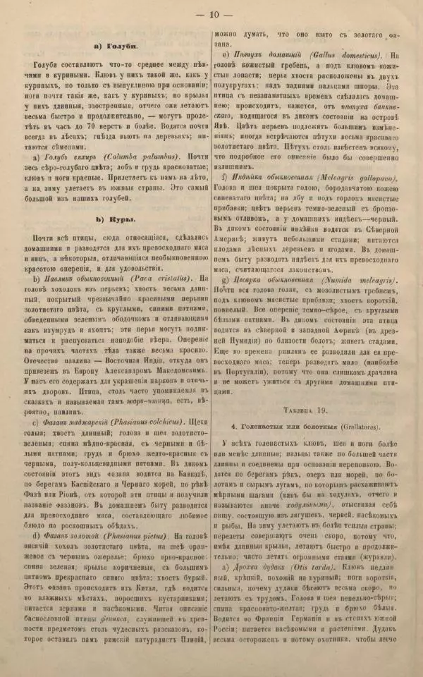 М. Яблонский - Миръ въ картинахъ - Страница № 20