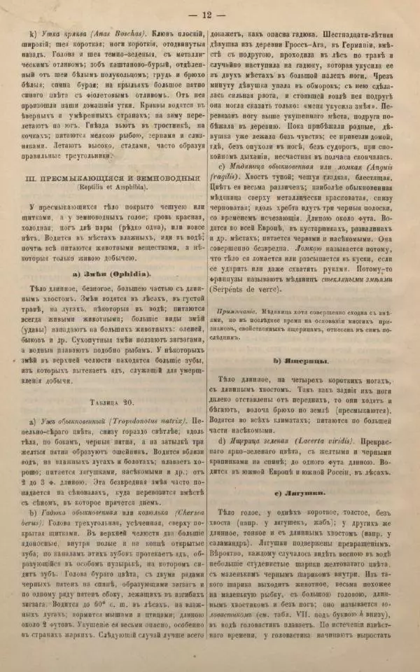 М. Яблонский - Миръ въ картинахъ - Страница № 22
