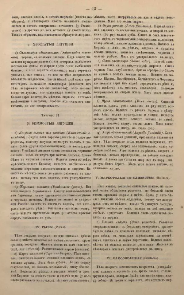 М. Яблонский - Миръ въ картинахъ - Страница № 23