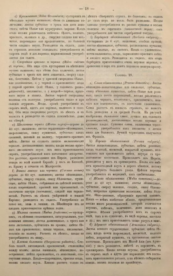 М. Яблонский - Миръ въ картинахъ - Страница № 28