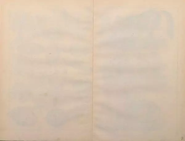 М. Яблонский - Миръ въ картинахъ - Страница № 47