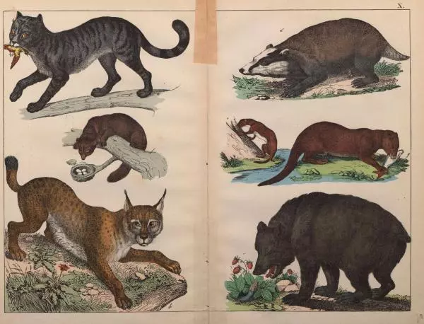 М. Яблонский - Миръ въ картинахъ - Страница № 50