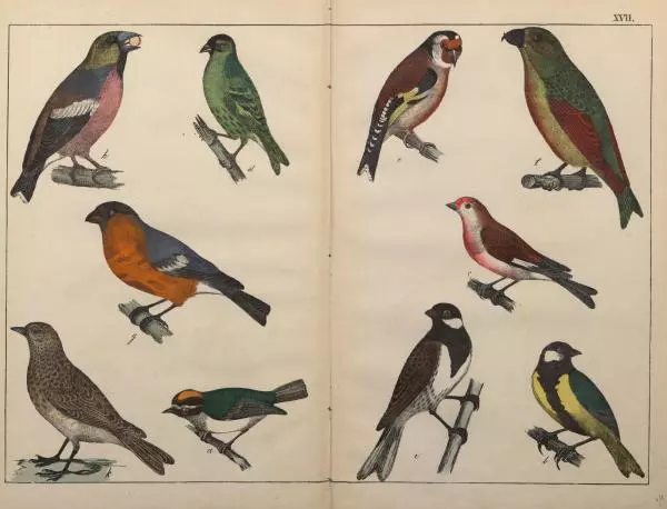 М. Яблонский - Миръ въ картинахъ - Страница № 64