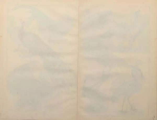 М. Яблонский - Миръ въ картинахъ - Страница № 67