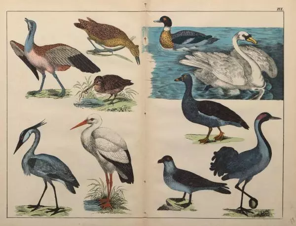 М. Яблонский - Миръ въ картинахъ - Страница № 68