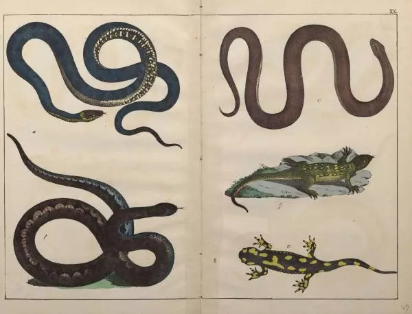 М. Яблонский - Миръ въ картинахъ - Страница № 70