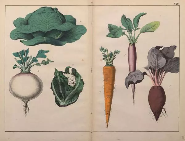 М. Яблонский - Миръ въ картинахъ - Страница № 80