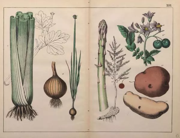 М. Яблонский - Миръ въ картинахъ - Страница № 82