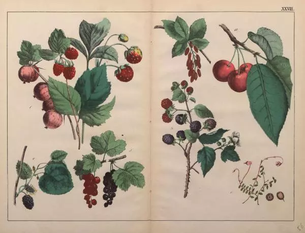 М. Яблонский - Миръ въ картинахъ - Страница № 86