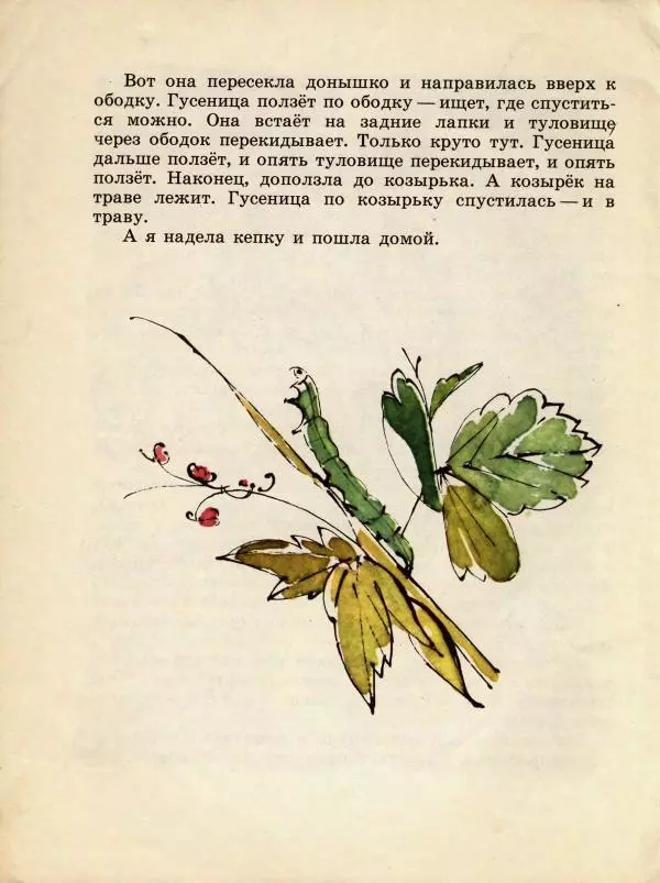 Наталья Романова - У меня дома пчела - Страница № 14