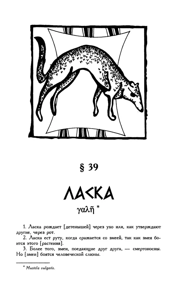 Александр Юрченко - Тигрица и грифон: Сакральные символы животного мира - Страница № 238