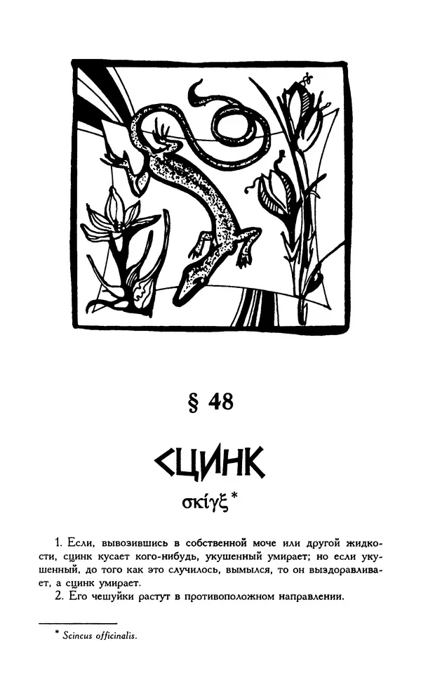 Александр Юрченко - Тигрица и грифон: Сакральные символы животного мира - Страница № 295