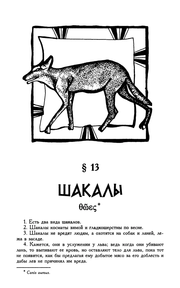 Александр Юрченко - Тигрица и грифон: Сакральные символы животного мира - Страница № 84