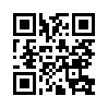 КулЛиб QR: Подлинная история русских. XX век (fb2)