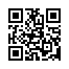 КулЛиб QR: Решение (fb2)