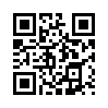 КулЛиб QR: Дневник тестировщика (fb2)