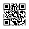 КулЛиб QR: Хроники тестировщика (fb2)