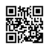 КулЛиб QR: Беглец (fb2)