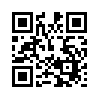 КулЛиб QR: Большая улица (fb2)
