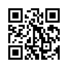 КулЛиб QR: Ассасин (fb2)