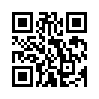 КулЛиб QR: Полет шершня (fb2)