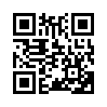 КулЛиб QR: Перевернутая страница не означает поражения (fb2)