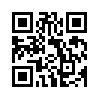КулЛиб QR: Тайна непонятного свертка (doc)