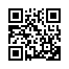 КулЛиб QR: Хроники тестировщика (fb2)