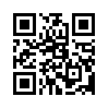 КулЛиб QR: Князек (fb2)