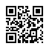КулЛиб QR: Багаж (fb2)