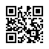 КулЛиб QR: Князь Палаэль. Высший (fb2)
