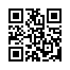 КулЛиб QR: Россия – страна поэтов (fb2)