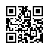 КулЛиб QR: Беглец (fb2)